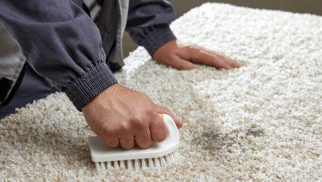 Professional Rug Cleaning Steels Creek